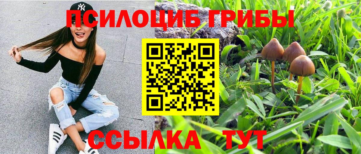 Псилоцибиновые грибы прущие грибы  Псилоцибиновые грибы мухоморы  Энгельс  Вход с VPN 